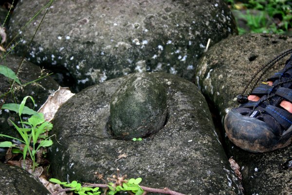 One of many mortar & pestle worn into the ground at ceremony sites